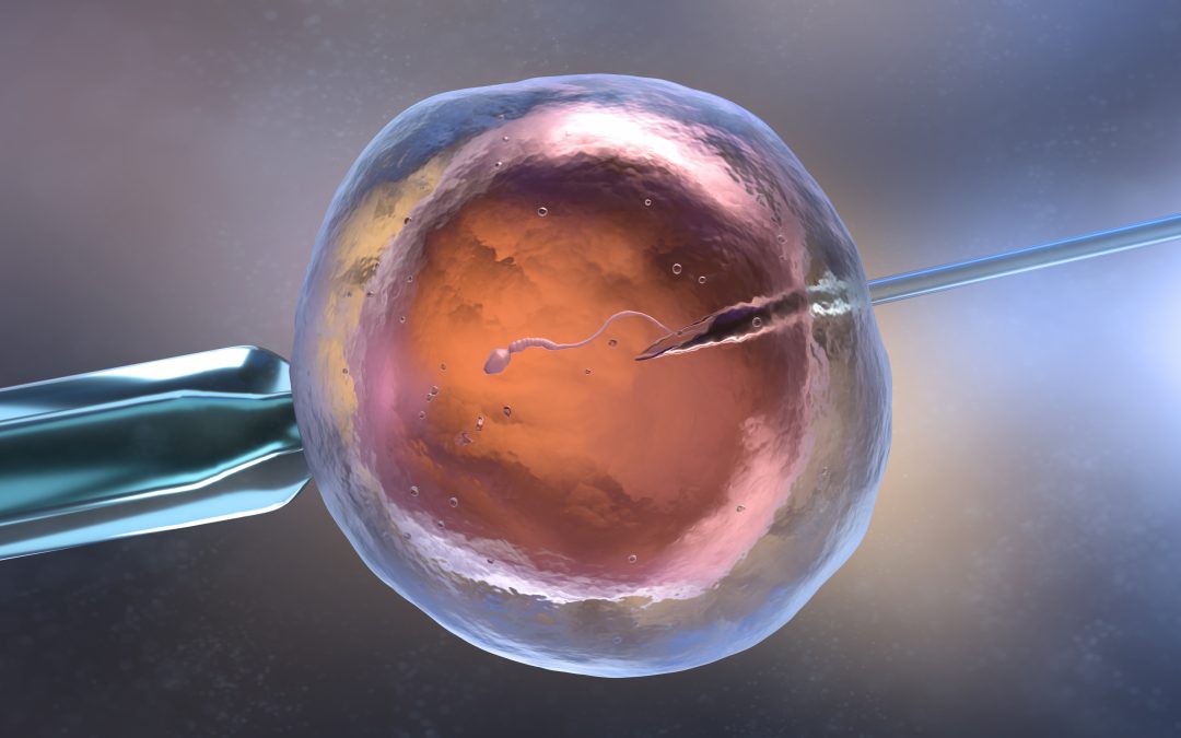 Is the Cost of IVF Too Much?
